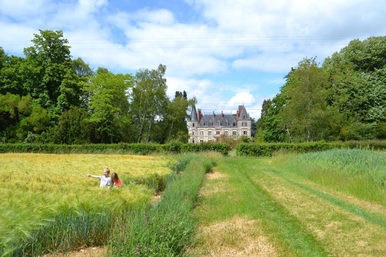 Château Le Boisrenault Hotel Buzançais Exterior foto